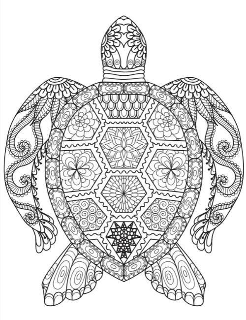 Mandala tortuga
