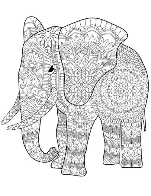 mandala elefante